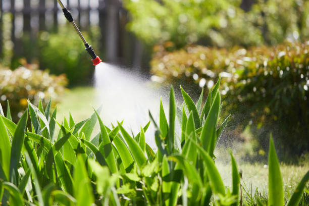 24/7 Emergency Wasp Removal experts in Tacoma, WA